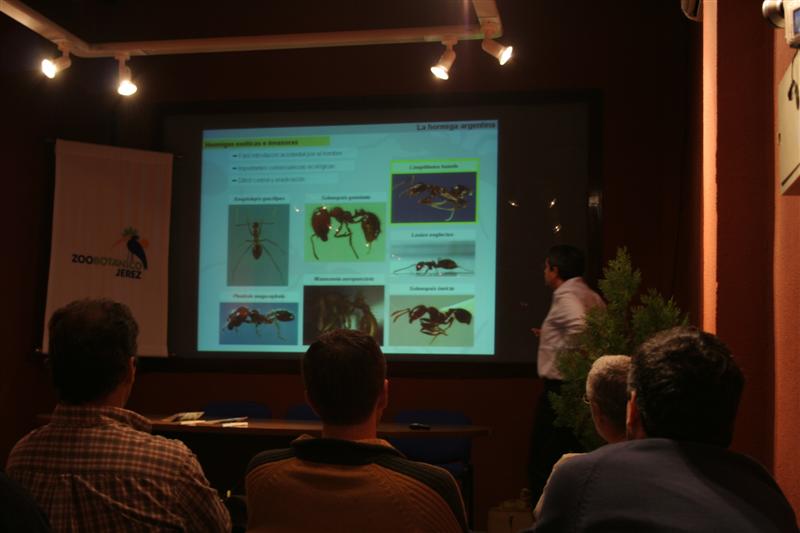 Imagen 017 (Medium)